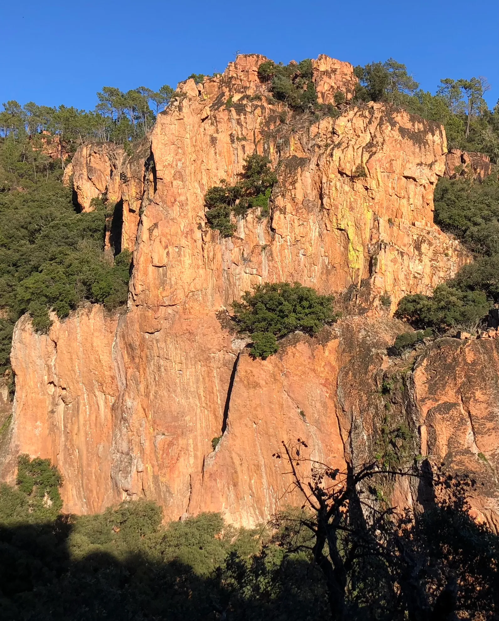 Les parois de rhyolite rouge des Gorges du Blavet